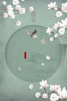 小蝌蚪芒果黄视频